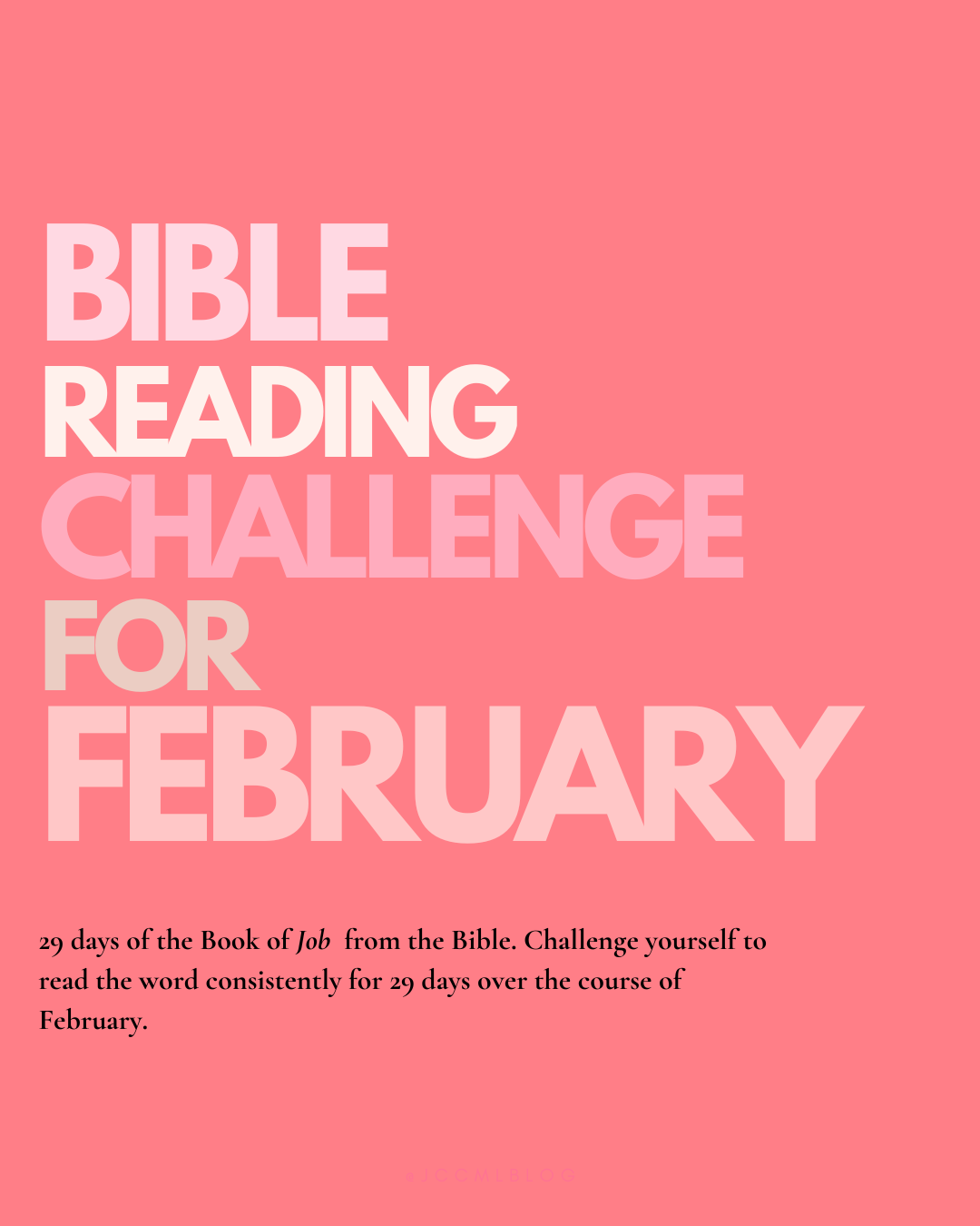 Bible Reading Challenge-28 Days of Job