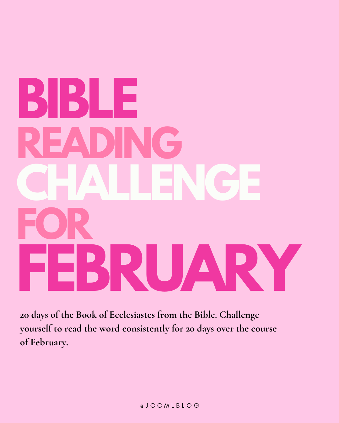 Ecclesiastes Challenge: A 20-Day Bible Reading Plan